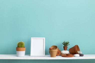 Pastel turkuaz duvara karşı beyaz raf çömlek ve kaktüslü sulu bitki..