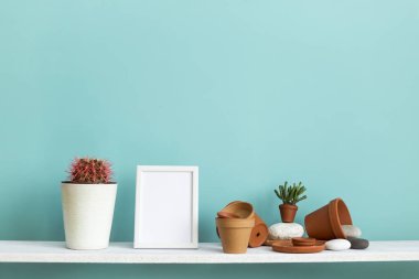 Pastel turkuaz duvara karşı beyaz raf çömlek ve kaktüslü sulu bitki..