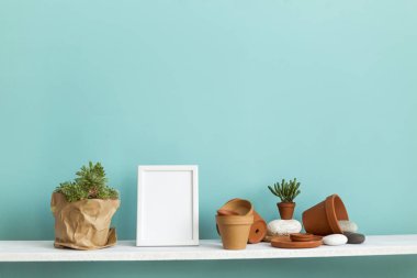 Beyaz raf pastel turkuaz duvara karşı çömleklerle ve sulu bitkilerle dolu..