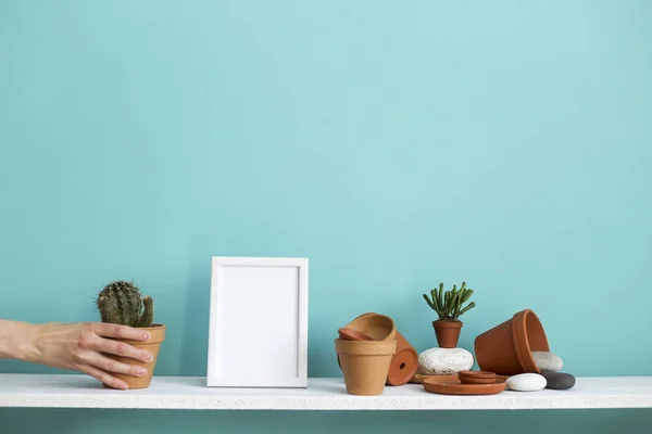Estante blanco contra pared de color turquesa pastel con cerámica y planta suculenta. Mano poniendo cactus en maceta . — Foto de Stock
