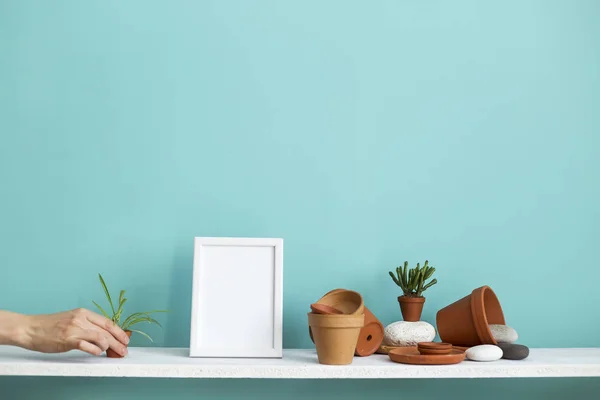 White shelf against pastel turquoise wall with pottery and succulent plant. Hand putting down potted spider plant. — 스톡 사진