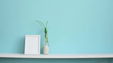 Resim çerçevesi mockup ile modern oda dekorasyonu. Su ve el kaktüs aşağı koyarak örümcek bitki kesimleri ile pastel turkuaz duvara karşı beyaz raf.