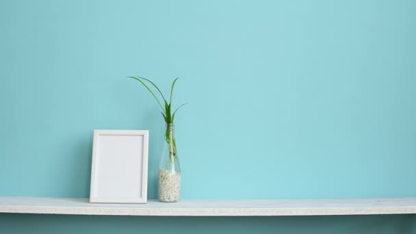 ピクチャーフレームモックアップ付きのモダンな客室の装飾 パステルターコイズの壁に対する白い棚と水中のクモの植物の切断とサボテンを置く手 — ストック動画