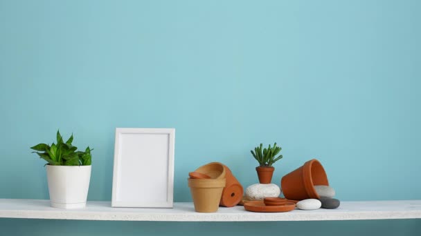 现代客房装饰 带相框模型 白色搁板 用陶器和多汁植物对柔和的绿松石墙 手浇盆蛇植物 — 图库视频影像