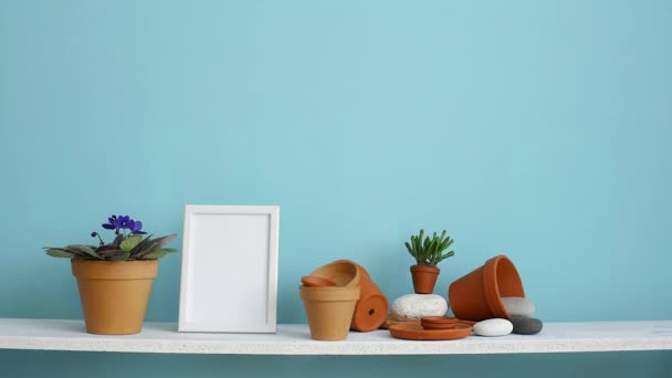 现代客房装饰 带相框模型 白色搁板 用陶器和多汁植物对柔和的绿松石墙 手浇盆栽紫罗兰植物 — 图库视频影像