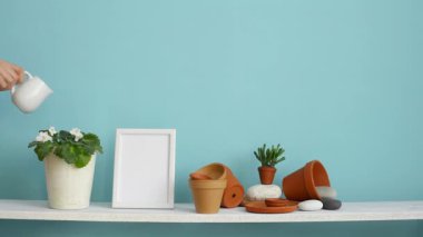 Resim çerçevesi mockup ile modern oda dekorasyonu. Çanak çömlek ve etli bitki ile pastel turkuaz duvara karşı beyaz raf. El sulama saksı menekşe bitkisi.