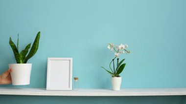 Resim çerçevesi mockup ile modern oda dekorasyonu. Saksılı orkide ve el yılan bitki aşağı koyarak pastel turkuaz duvara karşı beyaz raf.