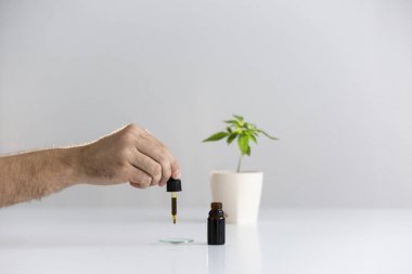 Hand dropping CBD oil from pipette to the watch glass clipart