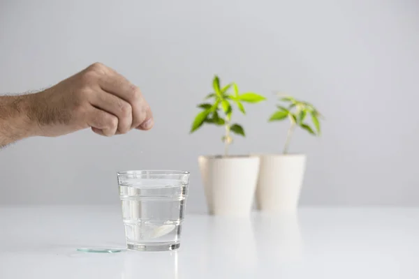 Hand putting Effervescent Tablet in glass of water
