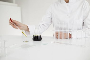 Scientist with gloves checking a pharmaceutical cbd oil in a laboratory on watch glass clipart