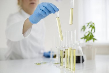 Scientist working with pharmaceutical cbd oil in a laboratory with a glass equipment clipart