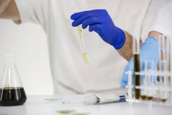 Dolgozó tudós gyógyszerészeti CBD olajat egy laboratórium üveg berendezések — Stock Fotó