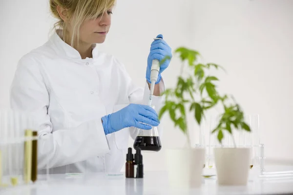 Científico revisando un aceite de cbd farmacéutico en un laboratorio con gotero de vidrio y tubos — Foto de Stock