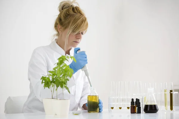 Científico revisando un aceite de cbd farmacéutico en un laboratorio con gotero de vidrio y tubos — Foto de Stock