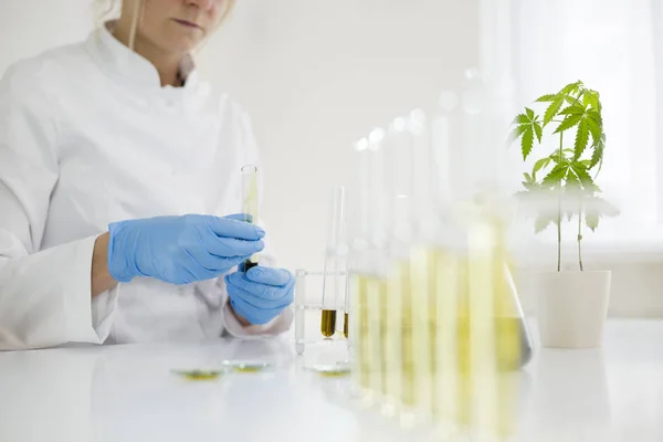 Scientifique travaillant avec de l'huile de cbd pharmaceutique dans un laboratoire avec un équipement en verre — Photo
