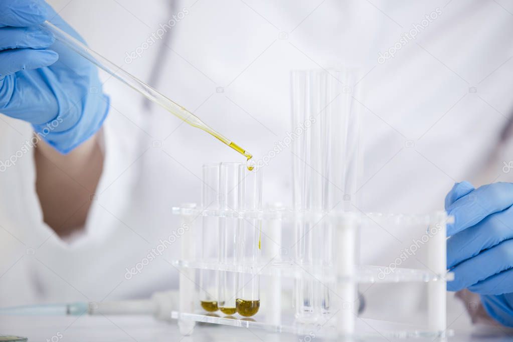 Scientist extracts pharmaceutical cbd oil in a laboratory