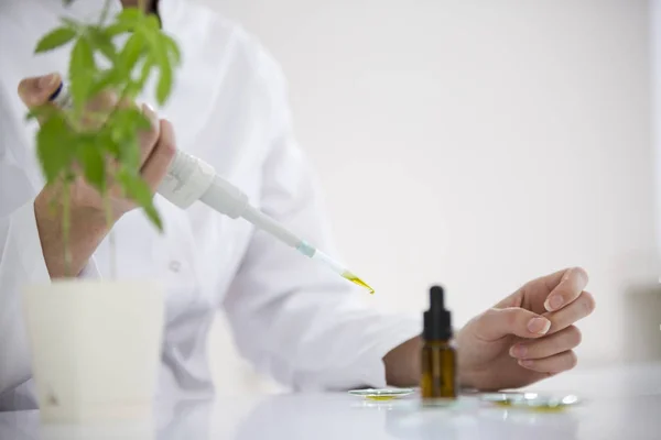 Scientifique vérifiant une huile de cbd pharmaceutique dans un laboratoire sur verre de veille — Photo