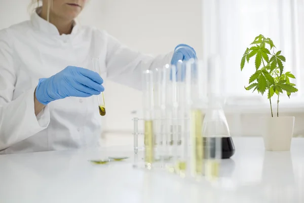 Bir cam ekipman ile bir laboratuvarda ilaç cbd yağı ile çalışan bilim adamı
