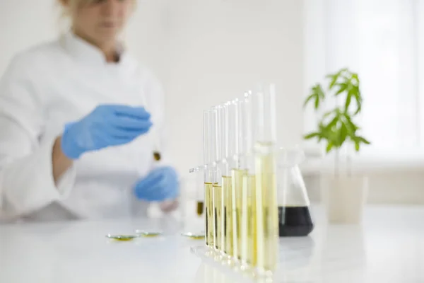 Olyan tudós, aki gyógyszerészeti CBD olajjal dolgozik üvegberendezésekkel ellátott laboratóriumban — Stock Fotó