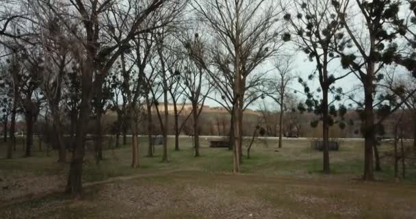 Drone se lève sur les arbres sans feuilles avec des plantes parasites ic crochet révélant une vue magnifique sur la forteresse de Petrovaradin en hiver  