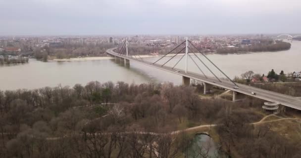 Kış Sonunda Tuna Nehri Özgürlük Köprüsü Bakan Ağaçlarla Çevrili Gölle — Stok video