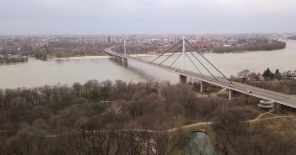 Drone Inclinando Para Baixo Direção Parque Kamenicki Com Lago Rodeado — Vídeo de Stock