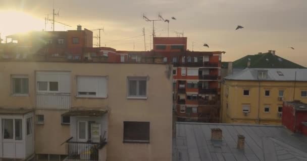 Nsansız Hava Aracı Novi Sad Şehir Merkezinde Eski Binanın Yanında — Stok video