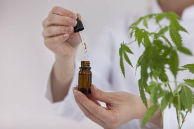 Scientist holding a bowl with cbd oil clipart