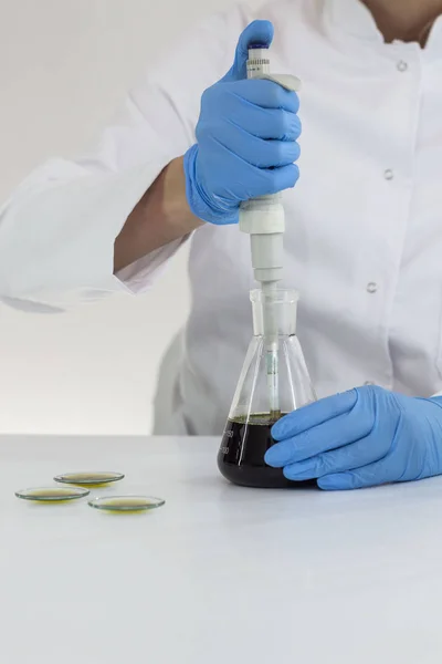 Wetenschapper met handschoenen die een farmaceutische CBD-olie controleren in een laboratorium op horlogeglas — Stockfoto