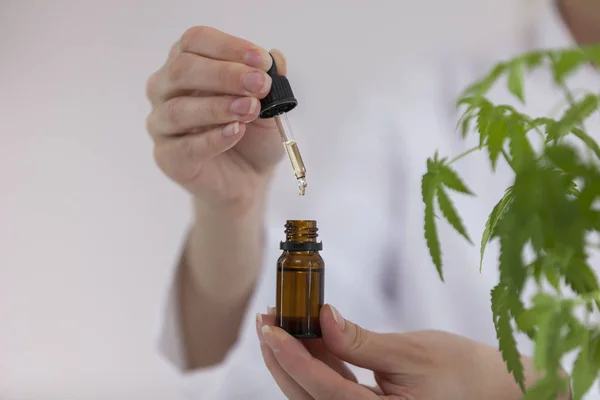 Bilim adamı cbd yağı ile bir kase tutan