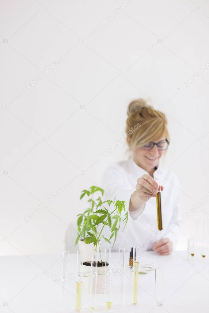 Scientist working with pharmaceutical cbd oil in a laboratory with a glass equipment