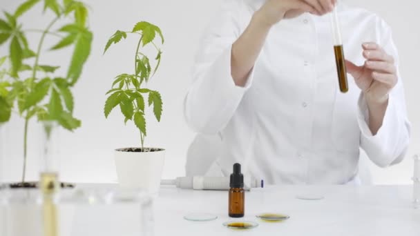 Wissenschaftlerin Mit Einer Brille Die Cbd Testet Das Aus Einer — Stockvideo