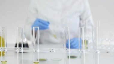 Bir laboratuvarda bir kadın bilim adamının, marihuana bitkisinden çıkarılan Cbd yağı yla ilgili deneyler üzerinde çalışması. Bir cam tüp içinde yağ Titrasyonu.