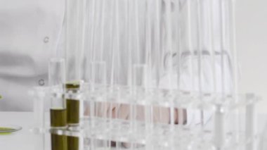 Saat bardağındaki marihuana bitkisinden çıkarılan cbd petrolünü test eden bir gözlükle bilim adamının yakın çekimi. Deney için kesin bir damlalık ve saat camı kullanıyor. Sağlık eczane kavramı