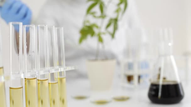 Femme Scientifique Dans Laboratoire Travaillant Avec Huile Cbd Extraite Une — Video