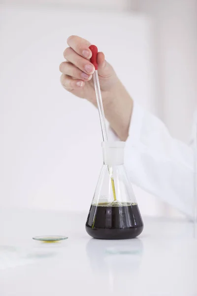 Vědec roztrhal CBD olej přesným kapkou z mísy do trubice — Stock fotografie