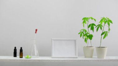 Resim çerçevesi mockup ile modern oda dekorasyonu. Mia yağı ile cam damla şişe aşağı koyarak elle duvara beyaz raf. Orada saksı esrar bitki var. CBD sağlık konsepti.
