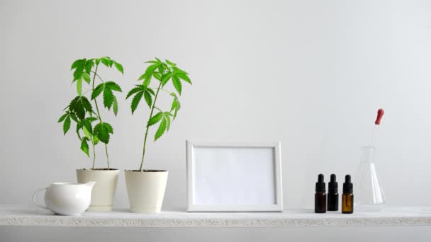 프레임 모형과 현대적인 장식입니다 손으로 화분에 마리화나 식물벽에 Cbd — 비디오