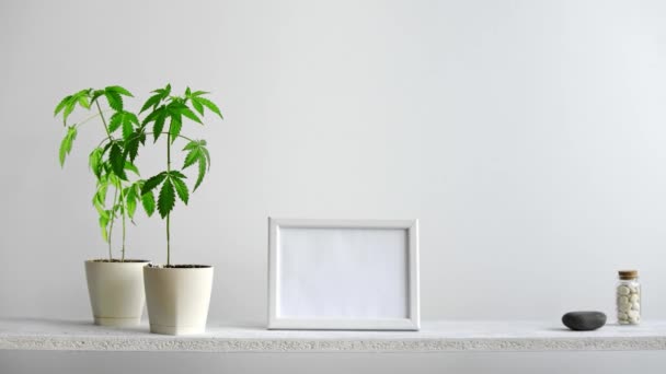 Moderna Decoración Habitación Con Marco Imagen Maqueta Estante Blanco Contra — Vídeos de Stock