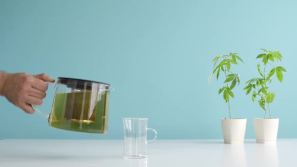 白桌和大麻植物在陶器中 把热茶从茶壶倒进杯子里 绿松石背景 — 图库视频影像