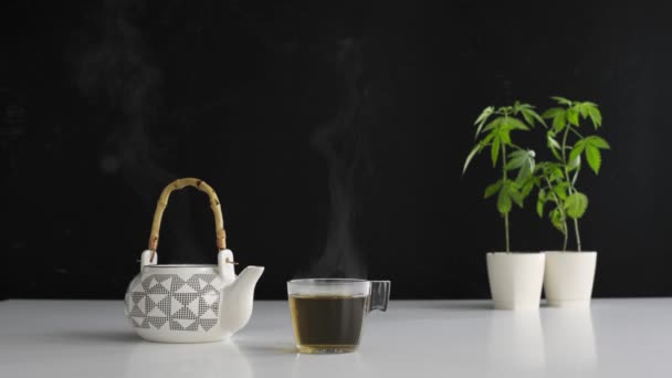 Mesa Blanca Con Planta Marihuana Cerámica Mano Verter Caliente Cbd — Vídeos de Stock