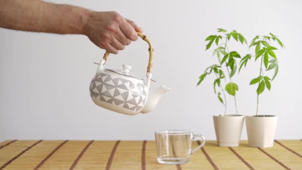 Bambustisch Mit Marihuanapflanze Keramik Heißer Cbd Tee Und Teekanne Weißer — Stockvideo