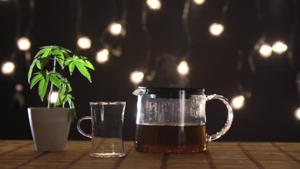 Çömlekçilik Esrar Bitki Ile Bambu Tablo Çaydanlık Gelen Cam Sıcak — Stok video