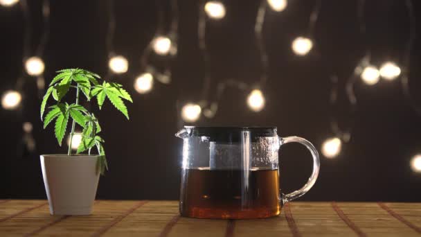 竹表与大麻植物在陶器 热Cbd茶和茶壶 舒适的背景 — 图库视频影像