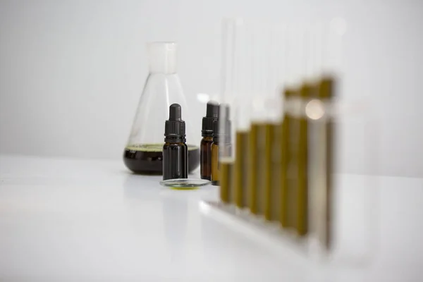 De buizen van het glas met CBD en Potted marihuanainstallatie. Gezondheids concept. — Stockfoto