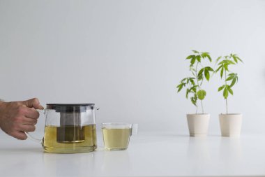 Çömlek içinde esrar bitki ile beyaz masa. Cam için sıcak CBD çayı dökmek el.