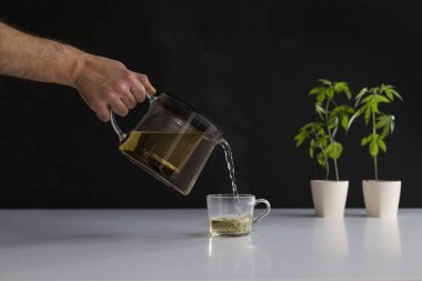 Çömlek içinde esrar bitki ile beyaz masa. Cam için sıcak CBD çayı dökmek el.