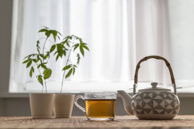 Pencereile çömleklik esrar bitki ile Bambu tablo. Sıcak Cbd çay ve çaydanlık.