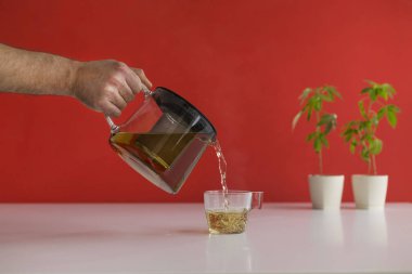 Çömlek içinde esrar bitki ile beyaz masa. Cam için sıcak CBD çayı dökmek el.