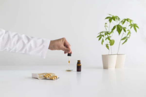 Biały stół z rośliną marihuany w ceramice. Ręczne upuszczanie oleju Cbd z pipety do szkiełka zegarka. — Zdjęcie stockowe